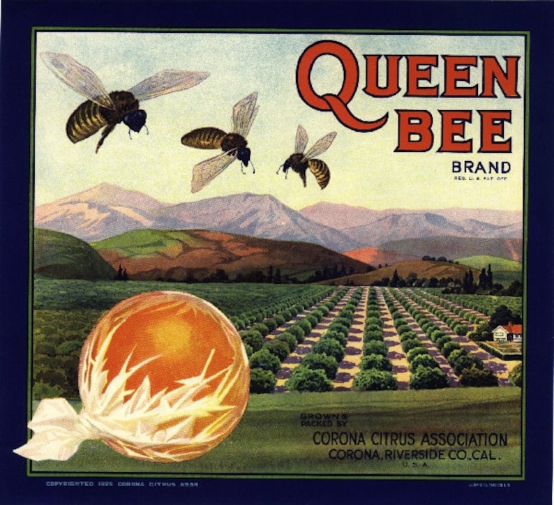 Santa Susana Simi Brand California Orange Citrus Fruit Crate Label Art Print