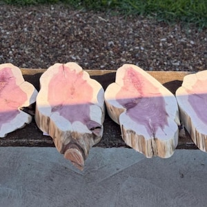 May include: A collection of eight irregularly shaped wooden slabs with a natural edge. The slabs have a light-colored outer ring and a vibrant pinkish-purple center. They are arranged on a weathered wooden bench, showcasing their unique grain patterns.