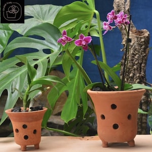 Macetas para orquídeas con patas - Maceta para orquídeas Cattleyas, Phalaenopsis y Dendrobium, terracota hecha a mano