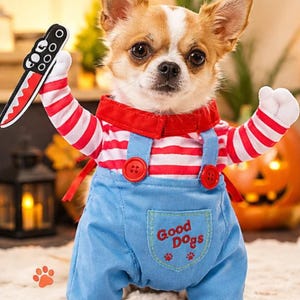 Könnte beinhalten: Ein kleiner Hund in einem Kostüm bestehend aus einem rot-weiß gestreiften Langarmshirt unter einer blauen Latzhose mit roten Knöpfen. Die Latzhose hat eine Tasche mit dem Text Good Dogs und zwei Pfotenabdrücken. Der Hund hält ein Spielzeugmesser.