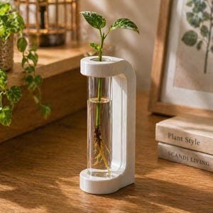 Peut inclure: Une station de propagation blanche et moderne avec un tube en verre transparent contenant une bouture de plante. La plante a des feuilles vertes et des racines visibles. La station est sur une surface en bois.