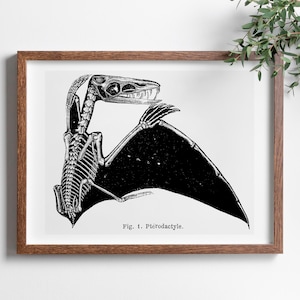 Vintage Pterodactyl Fossil Print