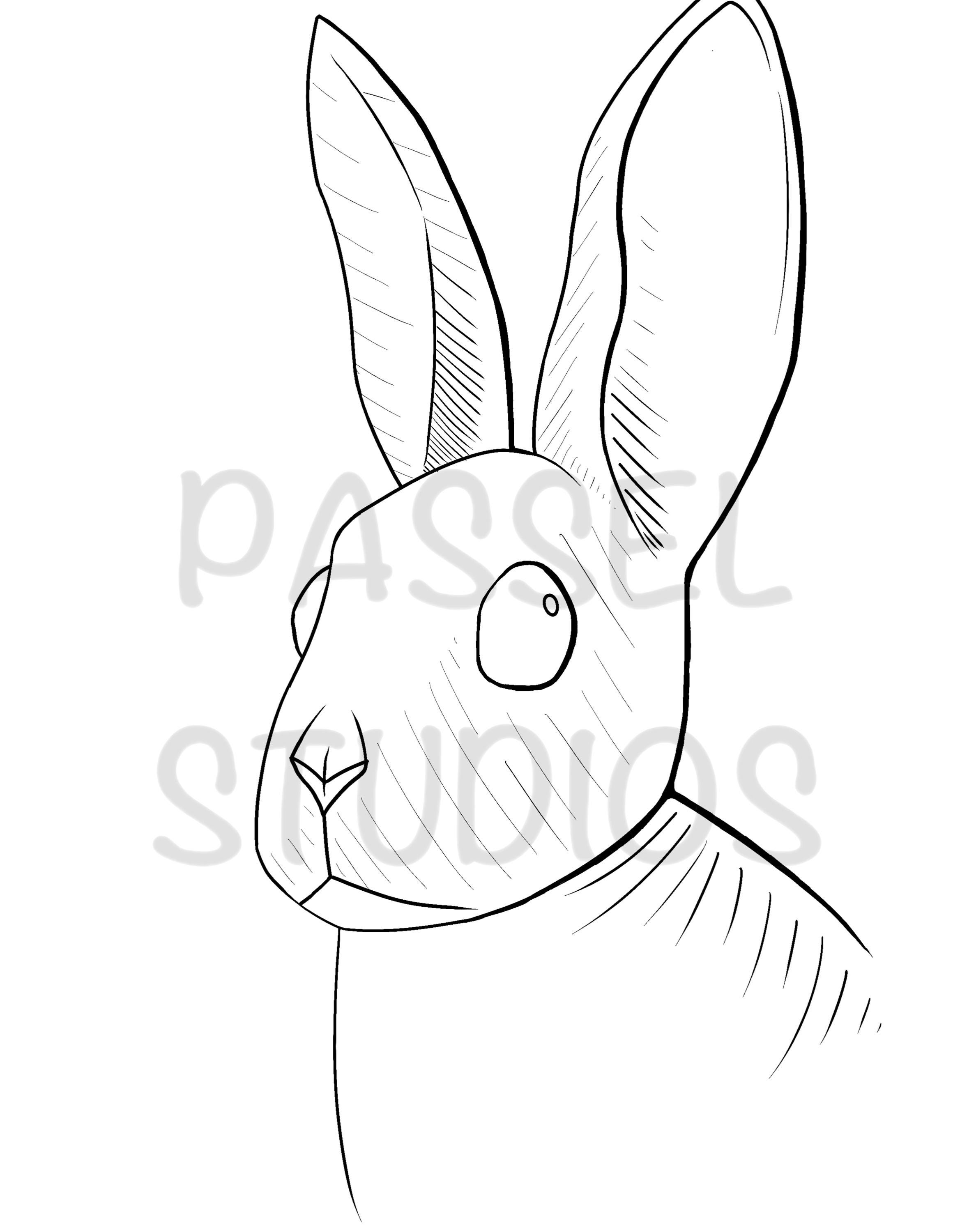 Rabbit Coloring Page - Etsy