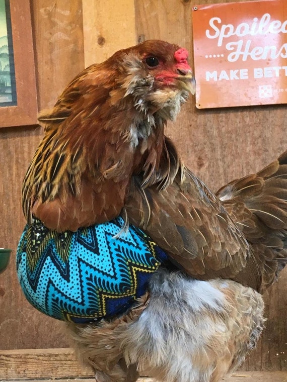 Chicken Bra, Crop Bra, Crop Supporter, Slow Crop, Prendulous Crop Bra -   Ireland