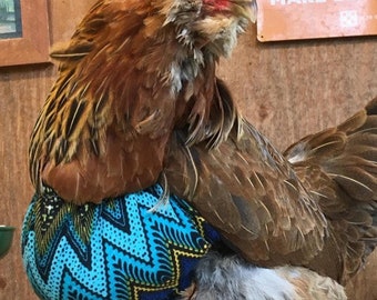 tinkare Chicken Bra for Pendulous Crop Hen Rooster Poultry Chicken Crop  Support Chicken Chest Protector : : Tools & Home Improvement