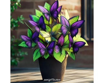 Lila Schmetterling Begonia Samen - Ornamental Shade Garden Blumenpflanze