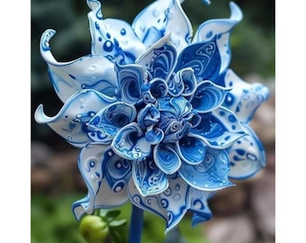 Seltene blaue königliche Dahlie - Ziergartenblumenpflanze