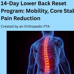 May include: A light blue graphic featuring the text 14-Day Lower Back Reset Programme: Mobility, Core Stability, Pain Reduction. Created by an Orthopaedic PTA. Below the text is a digital illustration of a human spine glowing in orange and red.