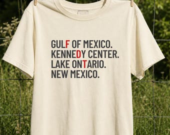 Sarcastic Political Humor T-Shirt, Lake Ontario New Mexico Tee, Comfort Colors FDT Meme Political Satire Shirt, November 3 Election Day Tee