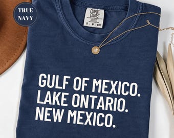 Sarcastic Humor Lake Ontario New Mexico Shirt, Comfort Colors Political Satire Tee, Trump New Mexico Meme Shirt, November 3 Election Day Tee