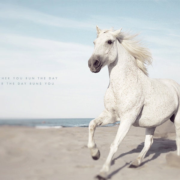 Horse Photography, White Horse, White Wall Art, Equestrian Print, Nature Photography, Camargue Horse, Horse Running, Nature Art Print, Water