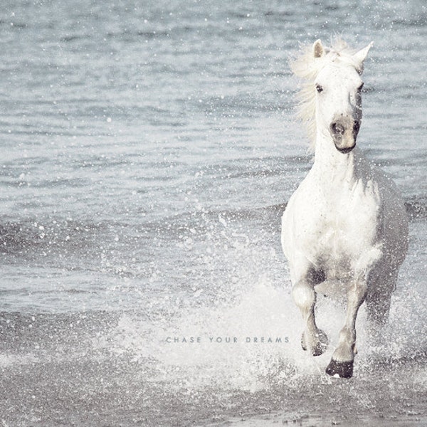 Cheval blanc, photographie de cheval, art mural blanc, impression équestre, photographie de la nature, cheval de Camargue, cheval qui court, impression d'art nature, eau