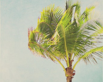 Palm Trees Art, Palm Tree Art, Palm Tree Photography, Palm Tree Decor, Palm Tree Wall Art, Beach Lovers, Beach Art Print, Beach Photography
