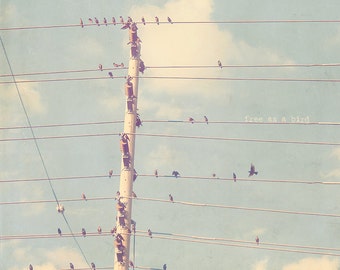 Birds On A Wire, Flock Of Birds, Birds Singing, Bird Art, Bird Photo, Bird Print, Typography Photo, Photo Quote, Inspirational Quote