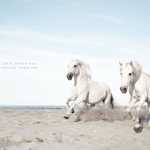 Chassez vos rêves, photographie de chevaux, chevaux blancs, art mural blanc, impression équestre, cheval de Camargue, course de chevaux, deux chevaux, amoureux des chevaux