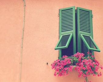 Window Shutters, Tattered Shutters, Green Shutters, Pink Flowers, Window Shutter Print, Window Shutter Art, Peach Decor, Green Decor, Window