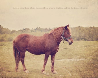 Brown Horse, Golden Horse, Horseback Riding, Horse Photography, Equestrian Art, Horse Photo, Horse Gift, Horse Art, Horse Print, Photo Quote