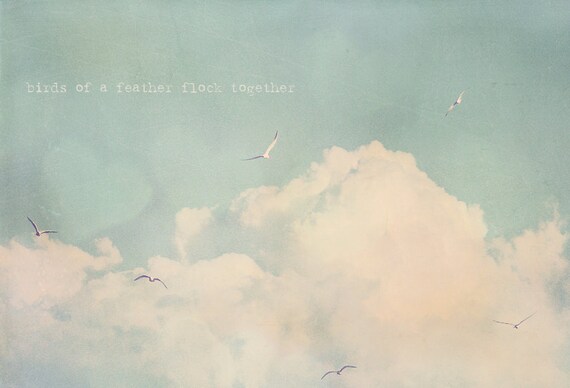 Oiseaux Dune Plume Oiseaux Volants Oiseaux Volants Nuages Etsy France