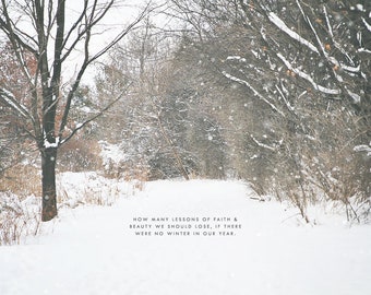 Snowflakes, Winter Art Print, Winter Wonderland, Winter Forest, Winter Photography, Snow Photography, Snow Forest, White Forest, Winter Art