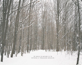 Winter Forest, Winter Photography, Snow Photography, Snow Forest, White Forest, Winter Art, Snow Art, Woods in Winter, Winter Wonderland