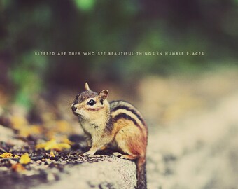 Nursery Art, Chipmunk Art, Cute Chipmunk, Animal Lover, Gift Idea Fine Art Prints, Home Art Decor, Nursery Wall Decor, Chipmunk Photo