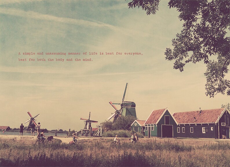 Netherlands Photo, Thoughtful Gift, Holland Photography, Living Room Art, Dutch Windmills, Dutch Countryside, Dutch Farm, Netherlands Art image 1