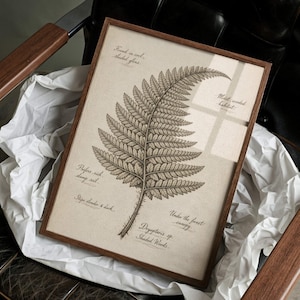 Può includere: Una stampa incorniciata di una foglia di felce, in toni seppia con annotazioni scritte a mano. L'opera è racchiusa in una cornice di legno. Il testo descrive l'habitat e le caratteristiche della felce. È un'illustrazione botanica.