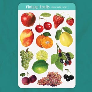 May include: A sticker sheet featuring vintage illustrations of various fruits. The sheet includes a red apple, cherries, strawberries, a mango, an orange, grapes, a lime, blackberries, and more. Text at the top reads "Vintage Fruits" and "@journalbyrachel".