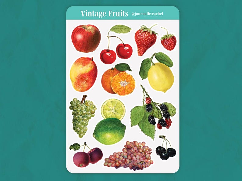 May include: A sticker sheet featuring vintage illustrations of various fruits. The sheet includes a red apple, cherries, strawberries, a mango, an orange, grapes, a lime, blackberries, and more. Text at the top reads "Vintage Fruits" and "@journalbyrachel".