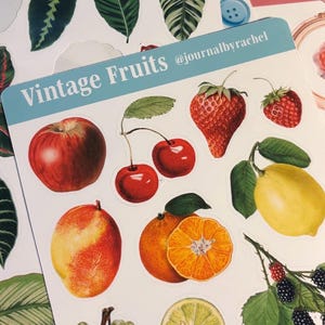 May include: A collection of stickers featuring vintage illustrations of fruits and plants. The fruit stickers include apples, cherries, strawberries, oranges, lemons, limes, grapes, and blackberries. The plant stickers include various leaves. The text "Vintage Fruits" and "age Plants" are visible.