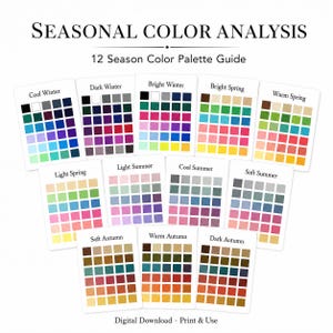 Professional Color Analysis Palettes | Printable Color Cards | Seasonal Color Palette Guide | Personal Stylist Kit | Digital Download PDF