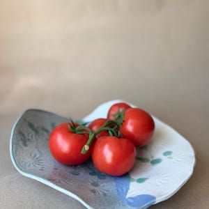 May include: A ceramic serving dish with a wavy edge, featuring a blue and white floral design. Four ripe red tomatoes with green stems rest on the dish, creating a vibrant contrast. The dish is approximately 10 inches wide.