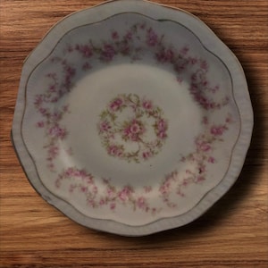 Platillos de porcelana ZEB vintage con diseño floral, fabricados en la Alemania de la RDA (Repl China).