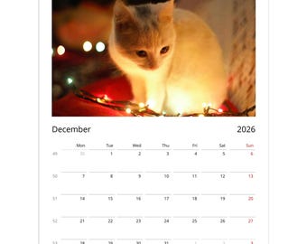 May include: A 2026 calendar showing a cream-coloured cat in a warm, glowing light. The December calendar page is visible, with the days of the month and the year clearly displayed. The cat is the central image, creating a cosy, festive atmosphere.