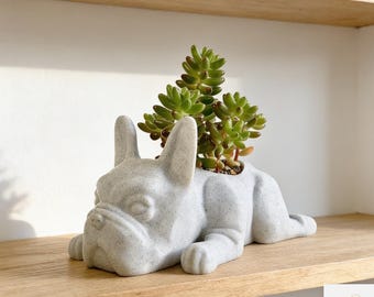 May include: A light gray, concrete planter shaped like a French Bulldog, holding a green succulent plant. The dog planter is lying down on a wooden shelf. The planter has a textured surface and is a decorative item.