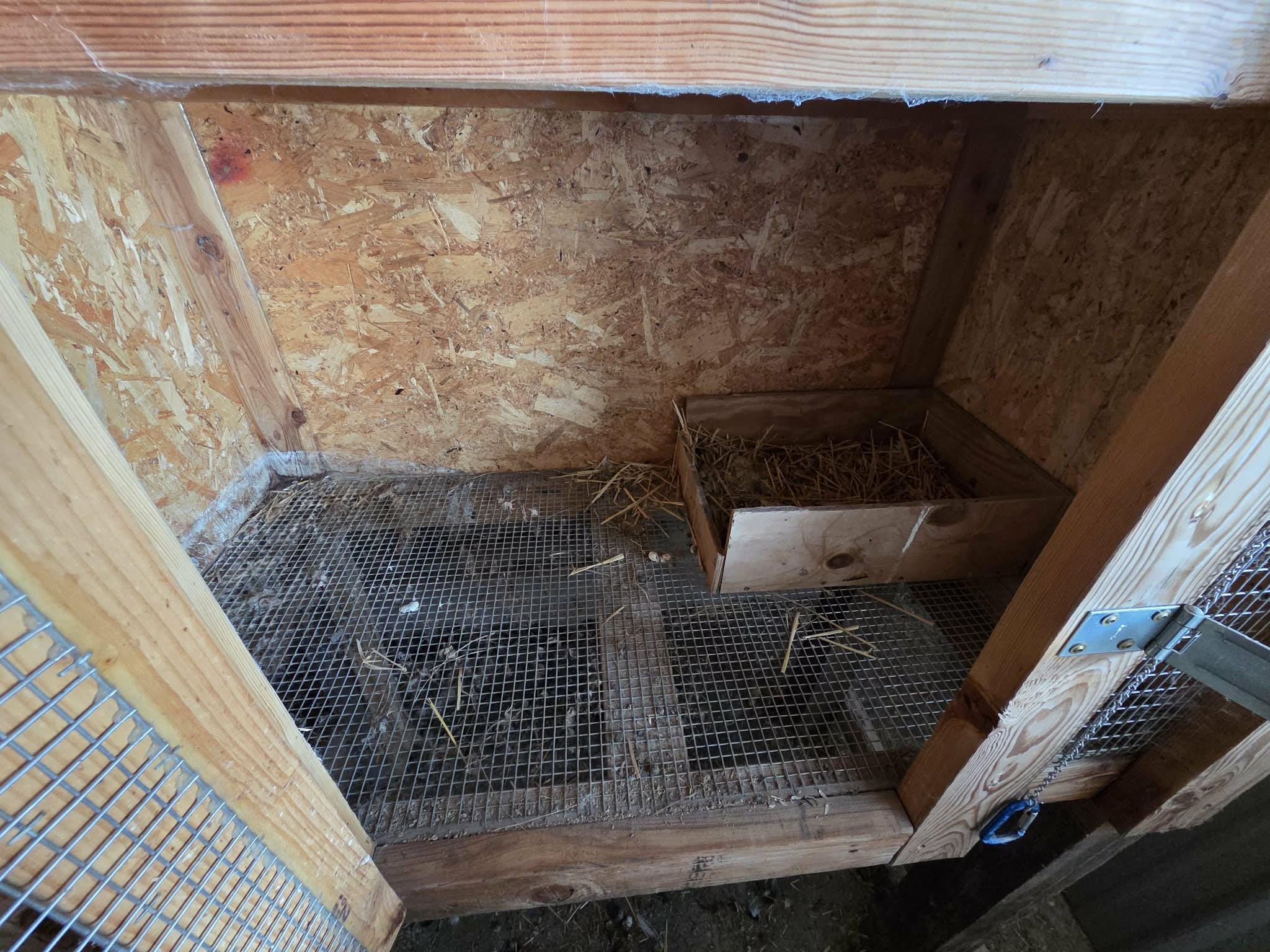 Predator Proof Rabbit Hutch, Plywood Design (digital PDF Download) - Etsy