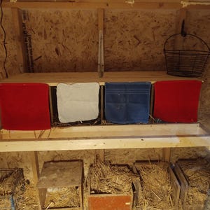 May include: Interior of a wooden chicken coop with four nesting boxes, two red, one white, and one blue. Each box contains straw. A wire basket hangs above the boxes. The coop is made of wood.