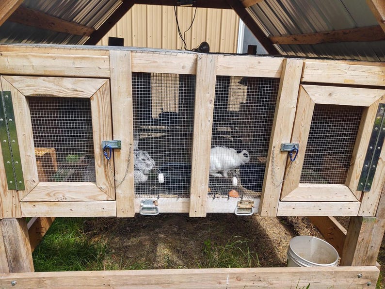 Master Rabbit Hutch. Holds Minimum of 4 Large Rabbits. Downloadable PDF ...