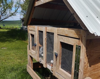 Master rabbit hutch. Holds minimum of 4 large rabbits. Downloadable PDF plans.