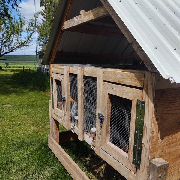 Breeding Stand - Etsy