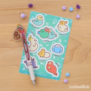 Pet Birds VINYL stickers - 4&quot; x 6&quot; sticker sheet - waterproof stickers - cute birds kawaii parrotlets cockatiel parakeet, gifts bird owner
