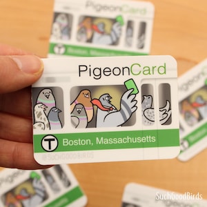 Cartão de trânsito de Boston - Adesivo de vinil de 3" - pombo de pássaro fofo - Costa Leste - Lembrança da Nova Inglaterra - Adesivo de metrô do metrô de Boston, Massachusetts