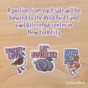 Rescue Chicken "Better Days Ahead" - 3" Vinyl Sticker - Benefitting Wild Bird Fund - rescued battery hen, bird decal, animal rights sticker image 4