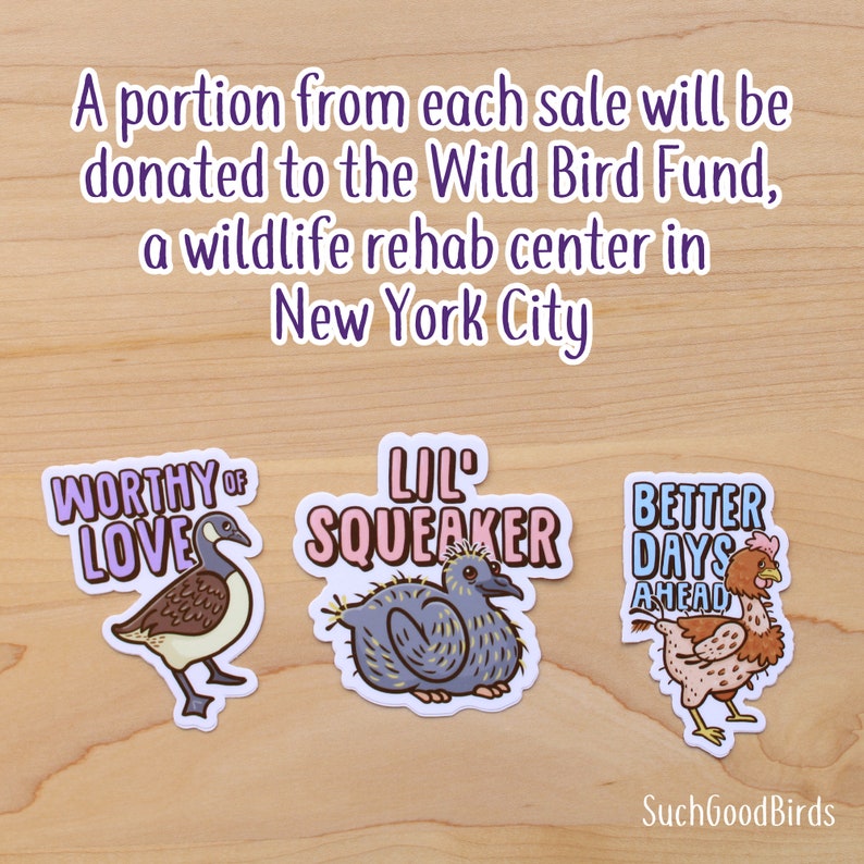 Rescue Chicken "Better Days Ahead" - 3" Vinyl Sticker - Benefitting Wild Bird Fund - rescued battery hen, bird decal, animal rights sticker image 4