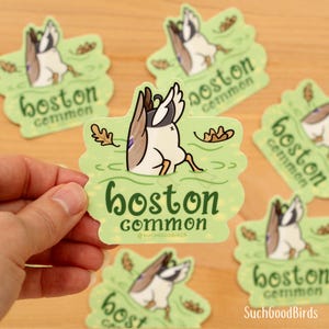 Cul de canard commun de Boston - Sticker vinyle 3" - oiseau mignon - souvenir de la Nouvelle-Angleterre - Boston Massachusetts - sticker parc de la ville - colvert barboteur