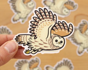 Barred Owl 3" Vinyl Sticker - cute owl sticker, flying owl, buho, lechuza, birdwatching birding, natural wildlife, gifts for bird lover