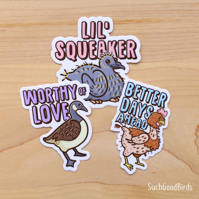 May include: Three colorful stickers featuring cartoon birds with text. The first sticker is pink and says "Lil' Squeaker" with a blue bird with yellow accents. The second sticker is purple and says "Worthy of Love" with a brown and white goose. The third sticker is blue and says "Better Days Ahead" with a brown and white chicken.