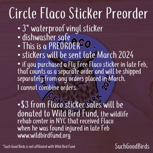 Circle Flaco the Owl 3 Vinyl Sticker Benefitting Wild Bird Fund commemorative Flaco eurasian eagle owl, new york city central park image 3