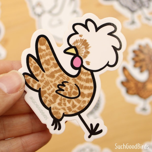 Chocolate Cuckoo Polish Chicken 3" Vinyl Sticker - bird stickers waterproof vinyl - crested hen, fancy poultry breed, AOCCL show decal