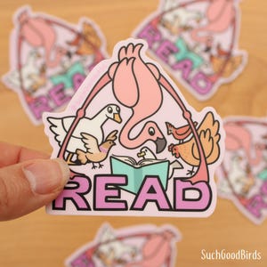READ Flamingo Vögel - 3 "Vinyl Aufkleber - süßer Vogel Aufkleber, Lesebücher Aufkleber, verbotene Bücher Woche, Back to Schulbibliothek, rosa Flamingo